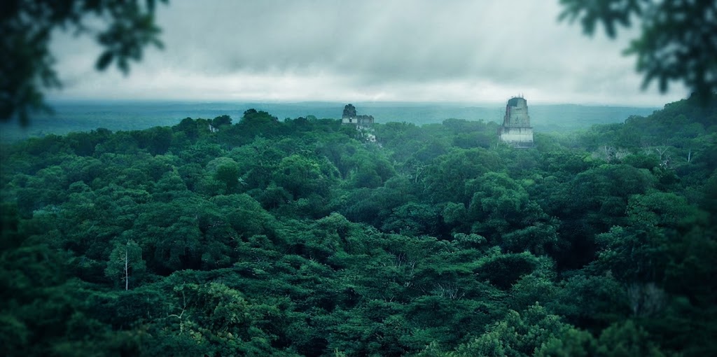 Selva Tropical El Zotz Peten y Templo IV
